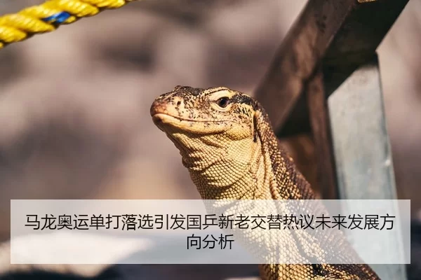 马龙奥运单打落选引发国乒新老交替热议未来发展方向分析