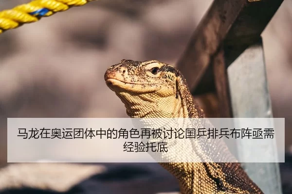 马龙在奥运团体中的角色再被讨论国乒排兵布阵亟需经验托底