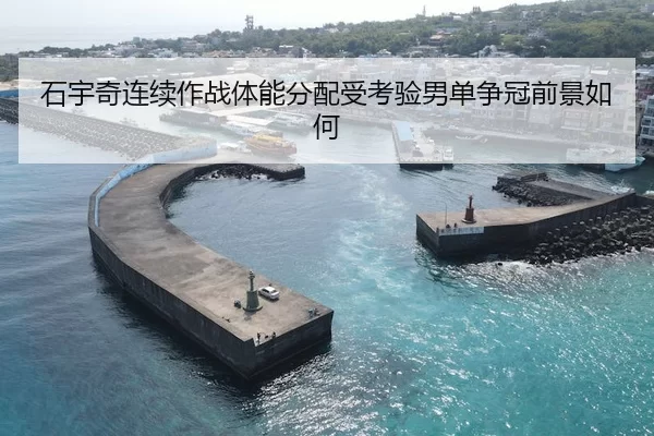 石宇奇连续作战体能分配受考验男单争冠前景如何